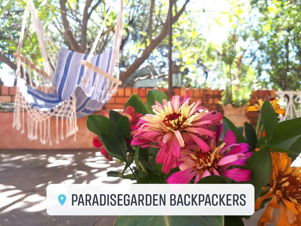Paradisegarden Backpackers Windhoek Exterior photo