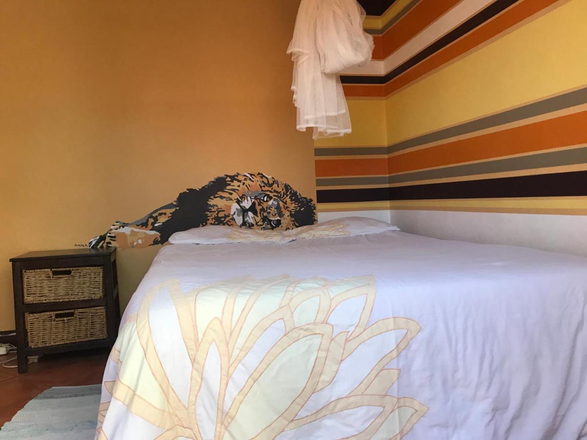 Paradisegarden Backpackers Windhoek Exterior photo
